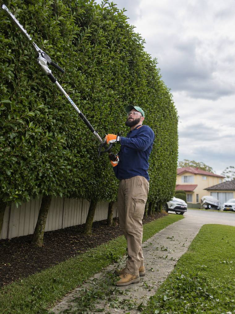 Wyatt from Louie’s Outdoor Care trimming the top of a tall hedge with a long-reach pole hedger.