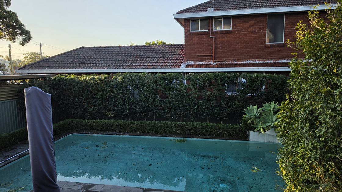 The same poolside hedge trimmed level and tight, opening up the pool area.