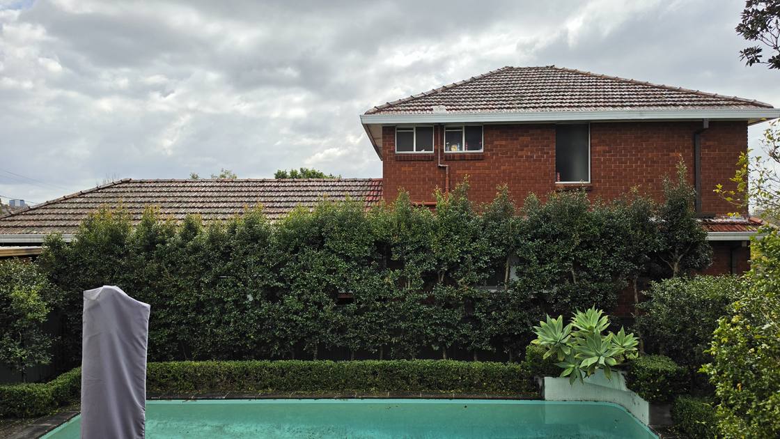 A tall poolside screening hedge growing bushy and uneven above a pool fence before trimming.