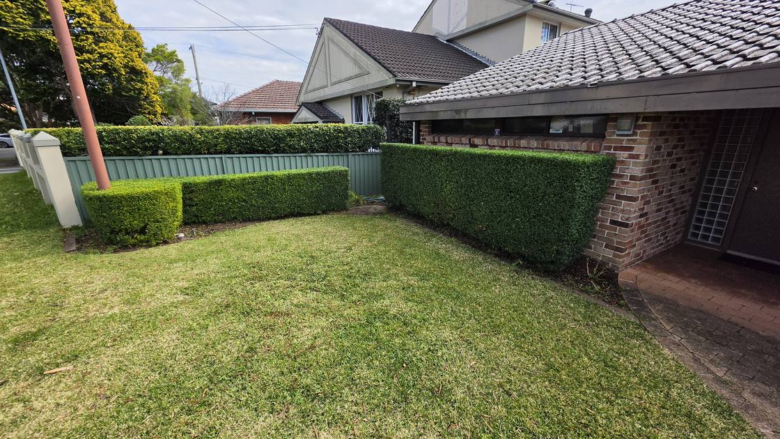 The same boundary hedge trimmed square and even with the lawn cleared of clippings.